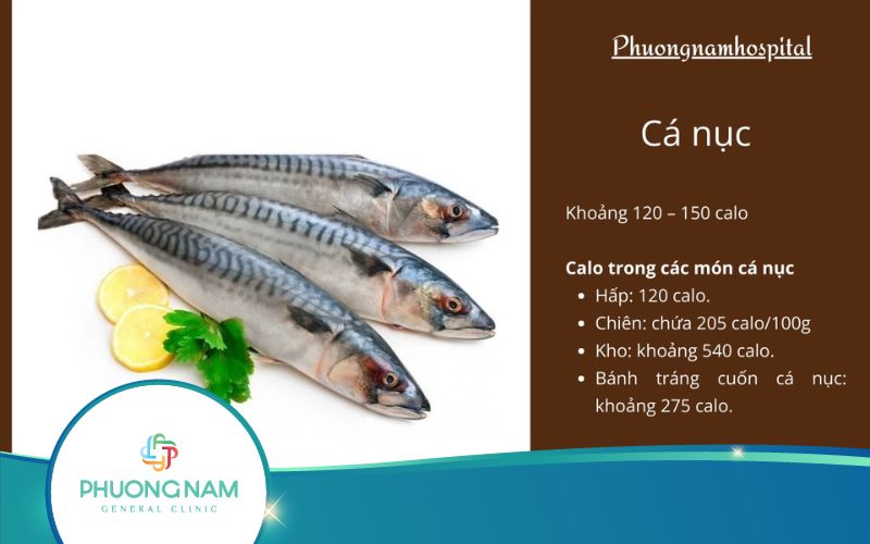 1 Con Cá Nục Bao Nhiêu Calo? Bật Mí Giá Trị Dinh Dưỡng