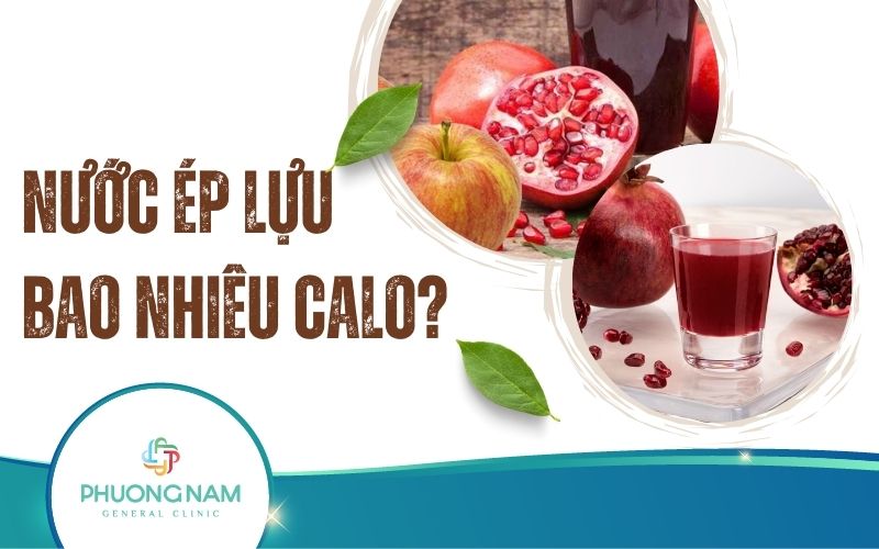 Nước Ép Lựu Bao Nhiêu Calo? Mẹo Sử Dụng Nước Ép Lựu Hiệu Quả