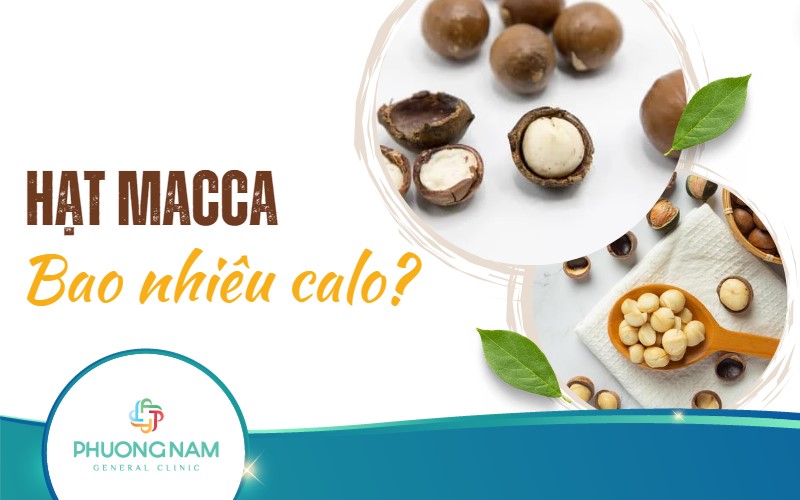 Hạt macca bao nhiêu calo? Lưu ý quan trọng khi ăn hạt macca