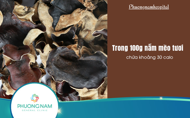 Nấm mèo bao nhiêu calo? Bí kíp ăn nấm mèo giảm cân
