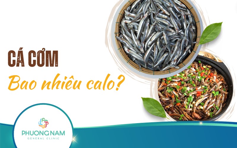 Cá cơm bao nhiêu calo? Bảng calo chi tiết các loại cá cơm