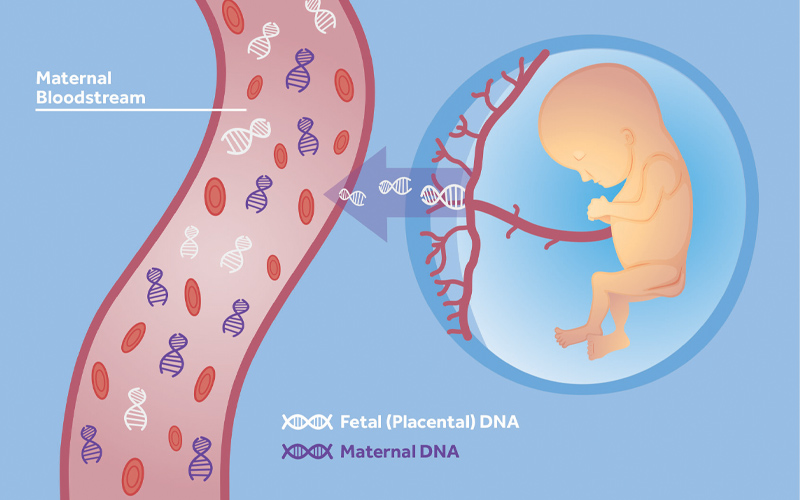 xét nghiệm adn trước khi sinh đà lạt 1