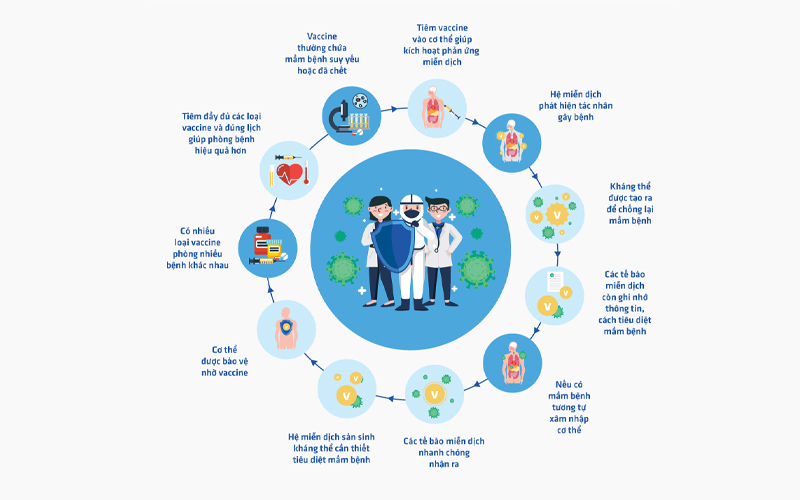 Vắc xin có cơ chế hoạt động đặc biệt, giúp bảo vệ cơ thể luôn được an toàn nhất