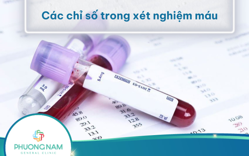Tìm hiểu Ý nghĩa các chỉ số trong xét nghiệm máu