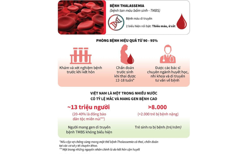 Việt Nam có hơn 20.000 người bệnh Thalassemia nặng cần điều trị suốt đời