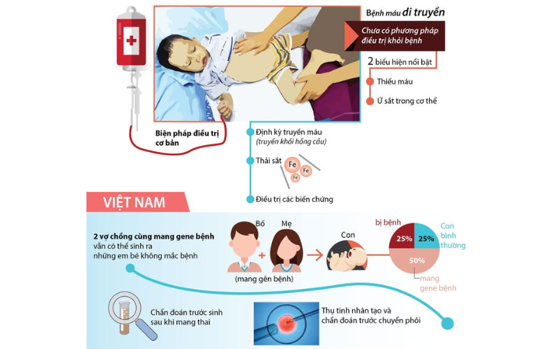 Nên đi khám sức khỏe tiền hôn nhân và làm các xét nghiệm để được phát hiện bệnh sớm