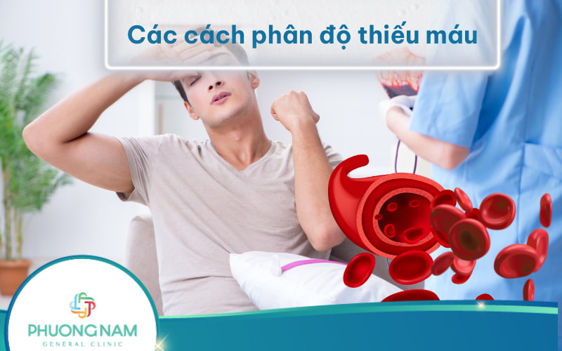 Thiếu máu: khái niệm, các cách phân độ thiếu máu, điều trị và phòng tránh