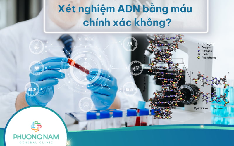 Xét nghiệm ADN bằng máu có chính xác không và cần lưu ý gì?