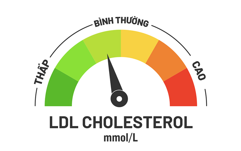 Đo chỉ số cholesterol để phân tích tình trạng liên quan đến bệnh tim mạch