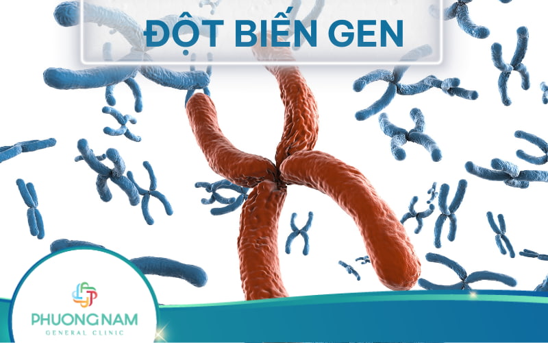 Đột biến gen là gì? Phân loại, nguyên nhân, ảnh hưởng đến sức khỏe