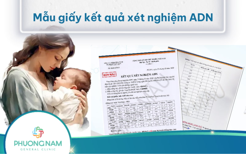 Mẫu giấy kết quả xét nghiệm ADN cập nhật mới nhất và ý nghĩa