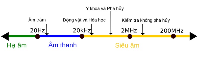 Sóng siêu âm được ứng dụng trong nhiều lĩnh vực, đặc biệt là y học