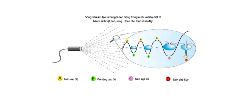  Sóng siêu âm được tạo ra bằng tự nhiên hoặc nhân tạo.