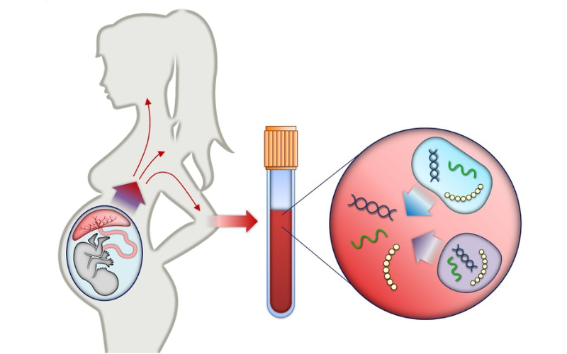 Chỉ cần lấy một mẫu máu nhỏ của mẹ, không cần thực hiện các thủ thuật xâm lấn.