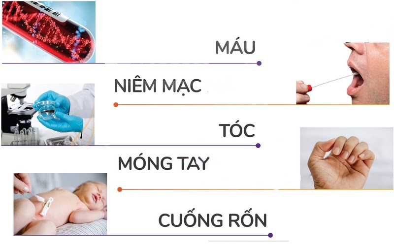 Các mẫu xét nghiệm ADN phổ biến hiện nay 