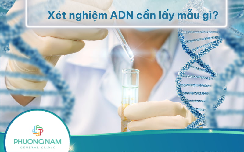 Xét nghiệm ADN cần lấy mẫu gì? Quy trình thực hiện ra sao?