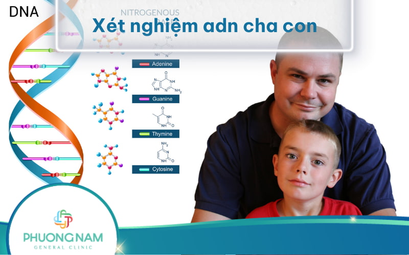 Xét nghiệm ADN cha con là gì? Quy trình thực hiện như thế nào?