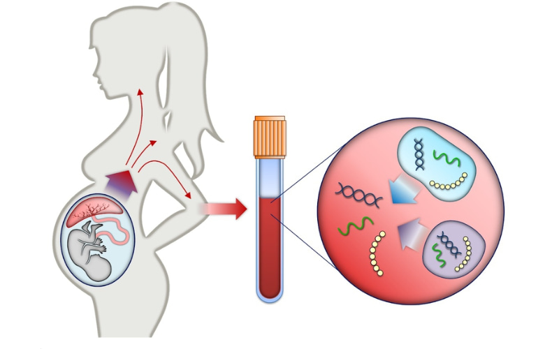 Xét nghiệm ADN thường sử dụng để xác định quan hệ huyết thống, phát hiện một số bệnh di truyền