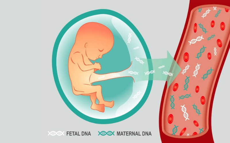 phương pháp xét nghiệm ADN thai nhi không xâm lấn luôn được ưu tiên lựa chọn