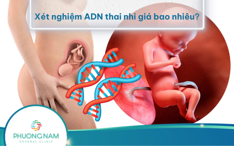 Xét nghiệm ADN thai nhi giá bao nhiêu? Và nên đi xét nghiệm khi nào?