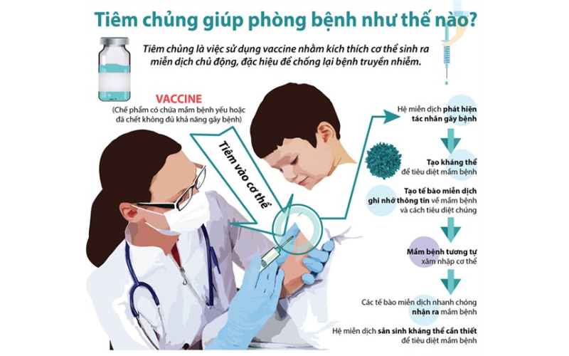 Việc tuân thủ lịch tiêm chủng đầy đủ, đúng lịch là chìa khóa bảo vệ trẻ em và người lớn khỏi các bệnh truyền nhiễm nguy hiểm