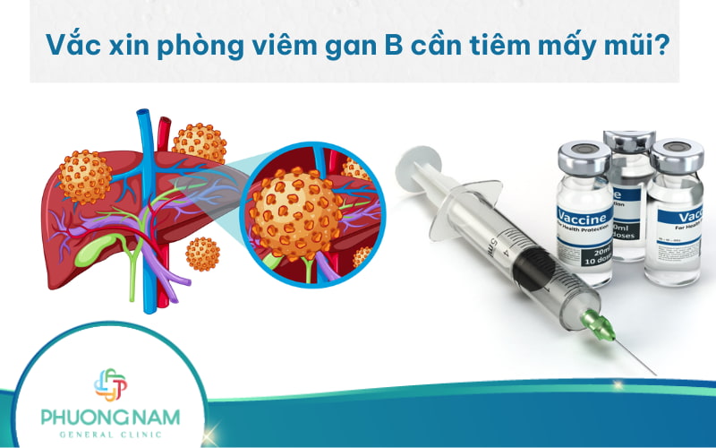 Vắc xin phòng viêm gan B cần tiêm mấy mũi? Và lịch tiêm cụ thể!