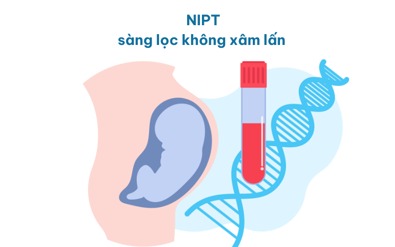 NIPT dựa trên kết quả giải trình tự gen thế hệ mới để phân tích các ADN của thai nhi trong máu mẹ.