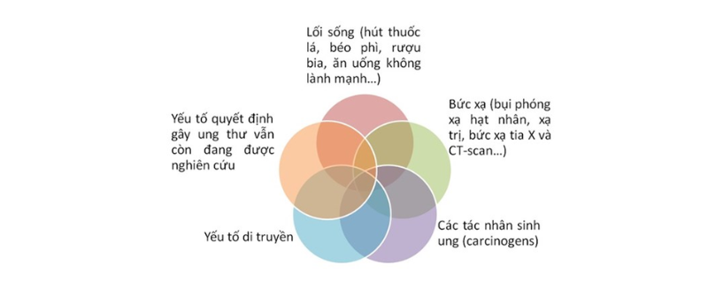 Một số yếu tố nguy cơ của ung thư máu 