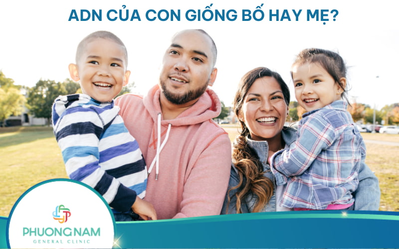 ADN của con giống bố hay mẹ? Con sẽ thừa hưởng những đặc điểm gì từ cha mẹ?