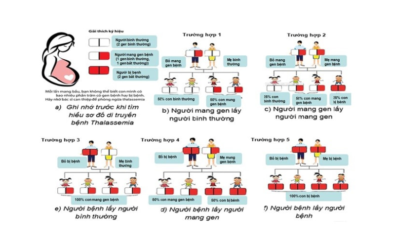 Sơ đồ di truyền bệnh thalassemia với 5 trường hợp có thể xảy ra