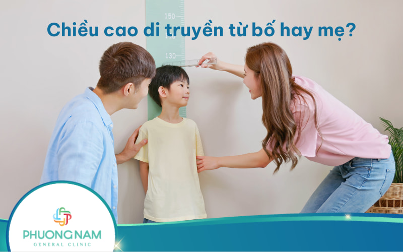 Chiều cao di truyền từ bố hay mẹ? Làm sao để giúp bé cao hơn?