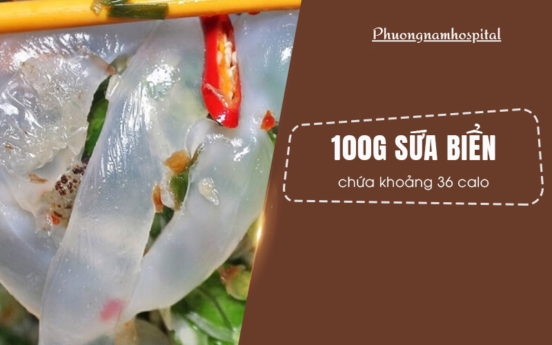 100g sứa biển chứa khoảng 36 calo