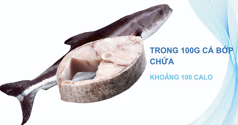 Trong 100g cá bớp chứa khoảng 100 calo