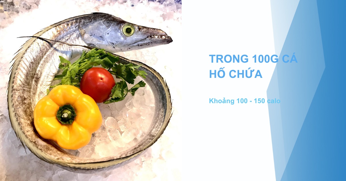 Trong 100g cá hố chứa khoảng 100 - 150 calo