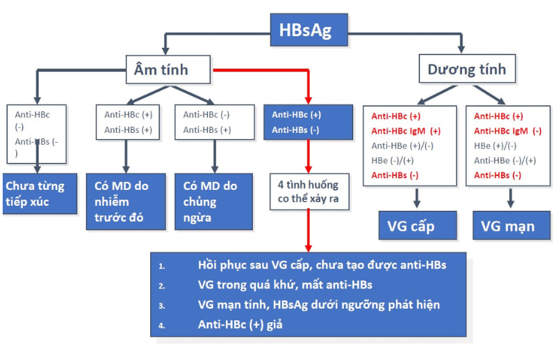 Sơ đồ chẩn đoán viêm gan B