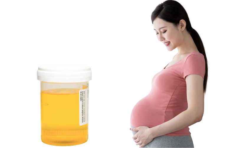 Xét nghiệm nước tiểu chưa thể phát hiện tiểu đường thai kỳ. 