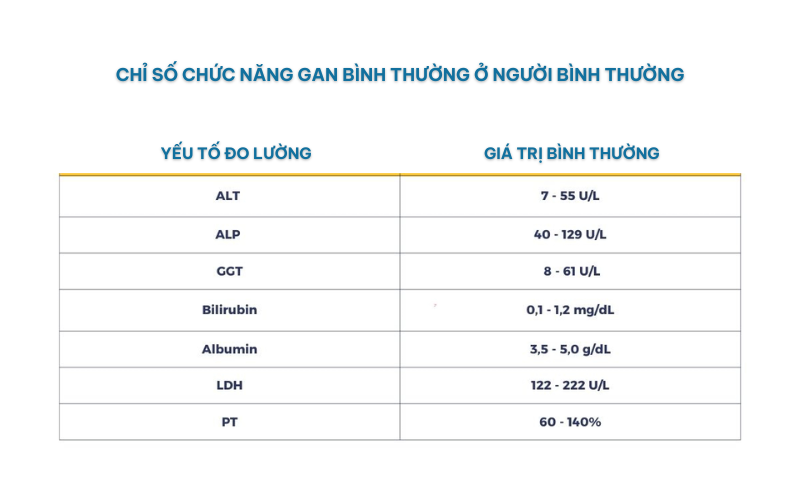 Một vài chỉ số xét nghiệm chức năng gan bình thường 
