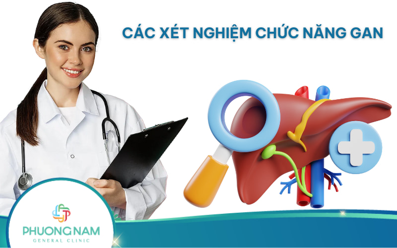 Các xét nghiệm chức năng gan gồm những gì?