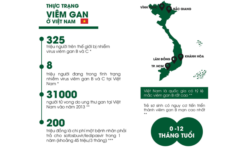 Tại Việt Nam, số người nhiễm viêm gan B chiếm tới 20% dân số.